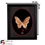 تابلو مس پروانه
