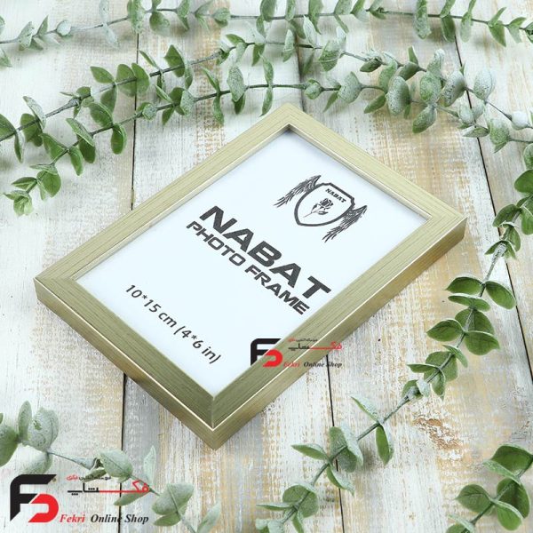 قاب عکس 15*10 کد 209 با نمای یک سانت با رنگ بژ