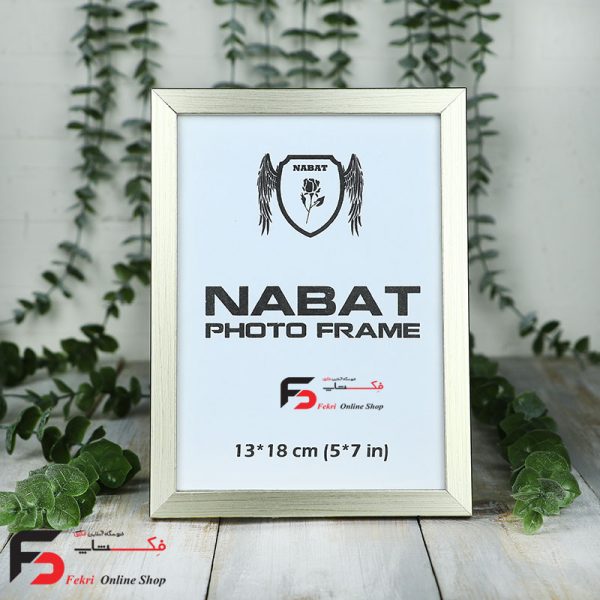 قاب عکس 18*13 کد 209 با نمای یک سانت با رنگ بژ