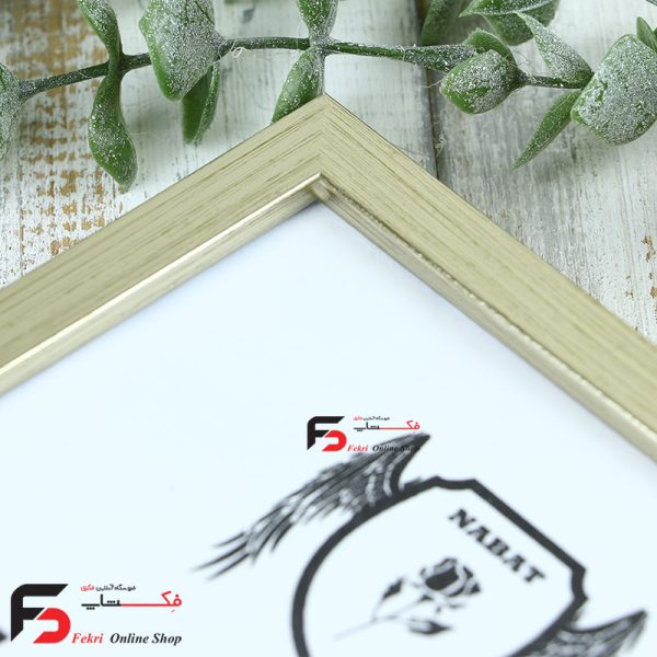 قاب عکس 18*13 کد 209 با نمای یک سانت با رنگ بژ