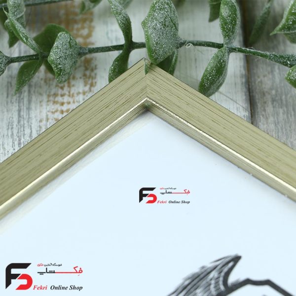 قاب عکس 21*16 کد 209 با نمای یک سانت با رنگ بژ