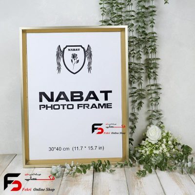 قاب عکس 40*30 کد 228 بژ