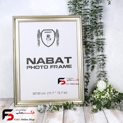 قاب عکس 40*30 کد 330 بژ