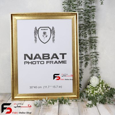 قاب عکس 40*30 کد 319 طلایی