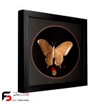 تابلو مس پروانه
