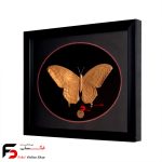 تابلو مس پروانه
